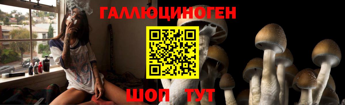 Галлюциногенные грибы мицелий Магнитогорск